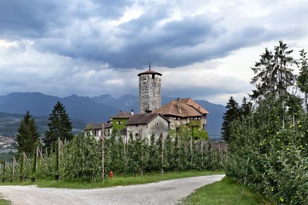 Valer Castle and the apple trees of the Non Valley. Trento province, Trentino Alto-Adige, Italy, Europe.