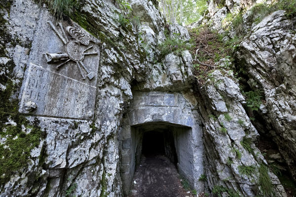 Mount Cengio: entrance to an Italian artillery position of the Great War. Asiago plateau, Vicenza province, Veneto, Italy, Europe.