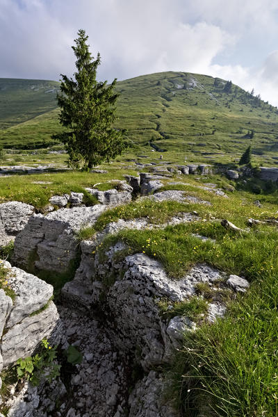 Mount Castelgomberto: trenches of the Great War cross the Stringa pass and climb Mount Fior. The famous novel 