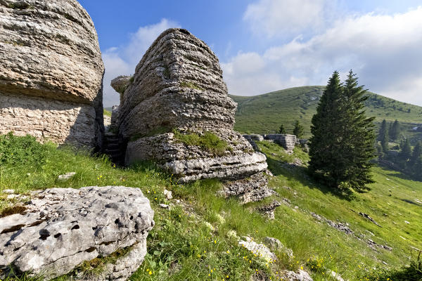 Fortified system of the Great War carved in the rocks of Mount Castelgomberto. Right: mount Fior with zigzag trenches. Asiago Plateau, Vicenza province, Veneto, Italy, Europe.