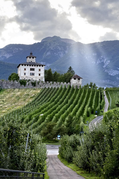 The Nanno castle and the apple trees of the Non valley. Ville d'Anaunia, Trento province, Trentino Alto-Adige, Italy, Europe.