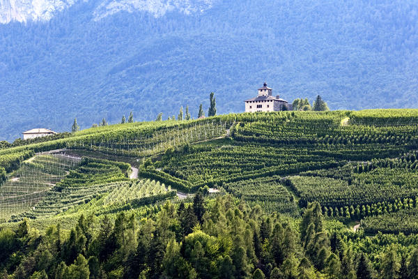 Nanno castle overlooks the apple trees of the Non valley. Ville d'Anaunia, Trento province, Trentino Alto-Adige, Italy, Europe.