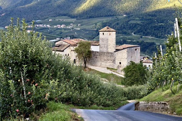 The Belasi castle and the apple trees of the Non Valley. Campodenno, Trento province, Trentino Alto-Adige, Italy, Europe. 