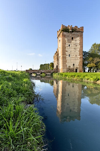 The scaliger tower of Isola della Scala. Verona province, Veneto, Italy, Europe.