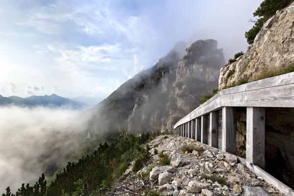 Italian trench of the Great War at the top of Mount La Sisilla. Piccole Dolomiti, Recoaro Terme, Vicenza province, Veneto, Italy, Europe.