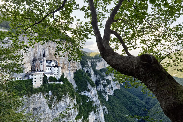 A tree frames the Madonna della Corona sanctuary in Mount Baldo. Ferrara di Monte Baldo, Verona province, Veneto, Italy, Europe.