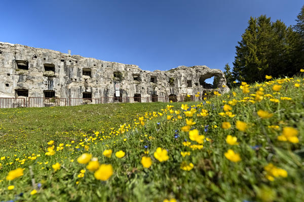 Fort Busa Verlee the flowery meadows of Vezzena. Vezzena pass, Levico Terme, Trento province, Trentino Alto-Adige, Italy, Europe.
