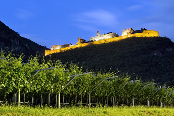 The vineyards of Vallagarina and the Beseno Castle. The castle is the largest medieval fortification in Trentino. Besenello, Trento province, Trentino Alto-Adige, Italy, Europe.