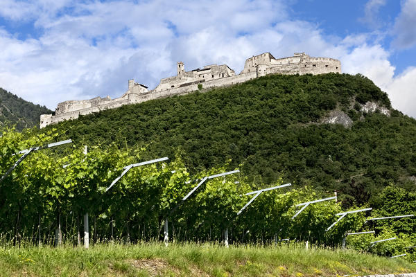 The Beseno Castle and the vineyards of Vallagarina. The castle is the largest medieval fortification in Trentino. Besenello, Trento province, Trentino Alto-Adige, Italy, Europe.