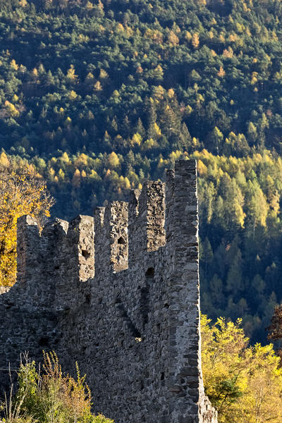 Crenellated wall of the Segonzano castle. In the background the woods of mount Ceramonte. Cembra valley, Trento province, Trentino Alto-Adige, Italy, Europe.