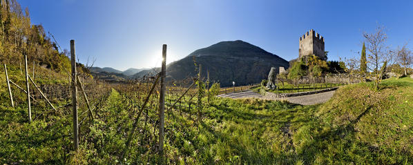 The medieval castle of Segonzano and the vineyards of the Cembra valley. Cembra valley, Trento province, Trentino Alto-Adige, Italy, Europe.