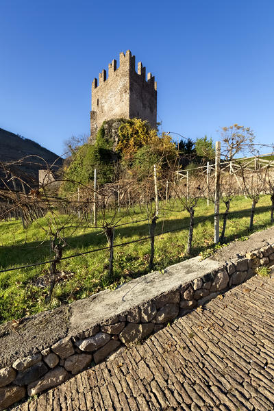 Path of the medieval castle of Segonzano and the vineyards of the Cembra valley. Cembra valley, Trento province, Trentino Alto-Adige, Italy, Europe.