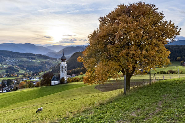 The San Valentino church in the meadows of the Siusi Alp. Castelrotto, Bolzano province, Trentino Alto-Adige, Italy, Europe.