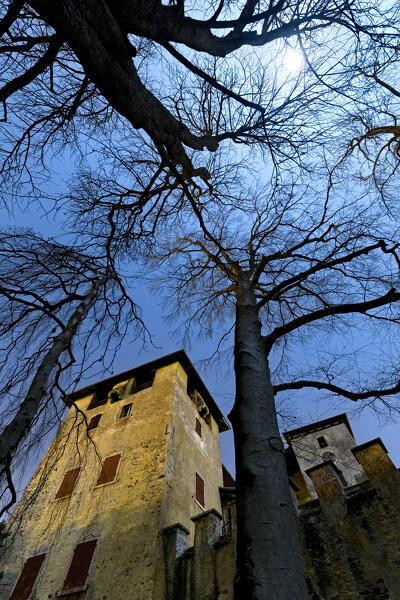 The keep of Seregnano castle and the monumental trees on a full moon night. Civezzano, Trento province, Trentino Alto-Adige, Italy, Europe.