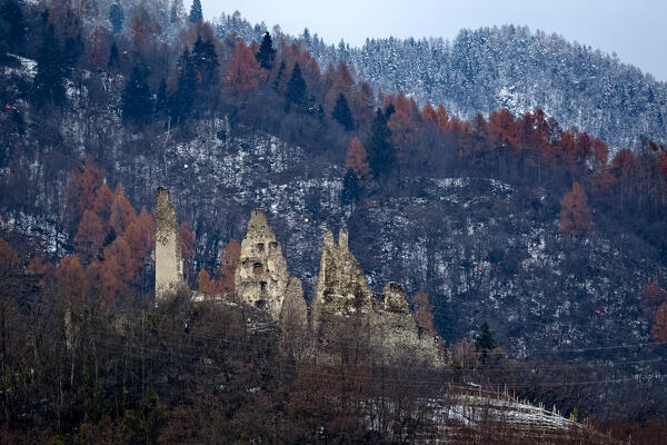 The medieval ruins of Selva Castle in the woods of Levico Terme. Valsugana, Trento province, Trentino Alto-Adige, Italy, Europe.