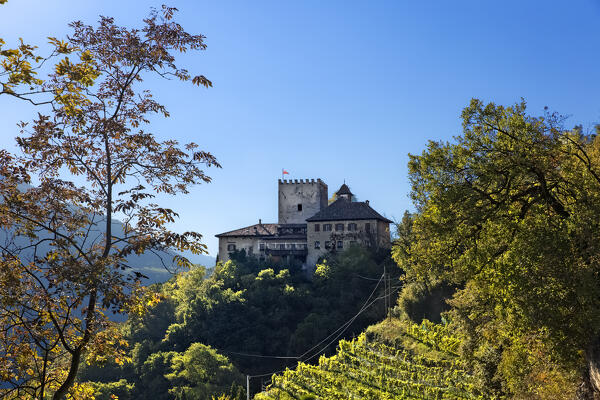 Thurnstein is a medieval castle surrounded by the vineyards of the typical 