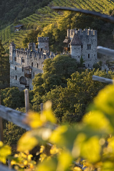 The medieval Brunnenburg/Fontana Castle is surrounded by vineyards and belonged to Prince Boris de Rachewiltz. Today it is an Agricultural Museum. Tirol/Tirolo, Bolzano province, Trentino Alto-Adige, Italy, Europe.