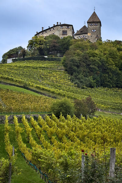 The vineyards of the village of Prissian/Prissiano overlooked by the medieval Wehrburg castle. Tisens/Tesimo, Bolzano province, Trentino Alto-Adige, Italy, Europe.