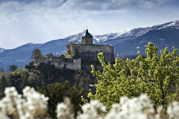 The gothic fortress of Ivano castle overlooks the rural landscape of Valsugana. Castel Ivano, Trento province, Trentino Alto-Adige, Italy, Europe.