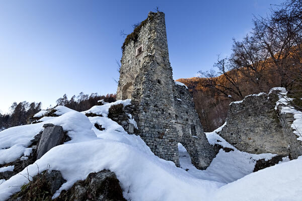 The medieval ruins of the Castellalto keep in winter. Telve, Trento province, Trentino Alto-Adige, Italy, Europe.