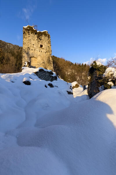 The medieval ruins of the Castellalto keep in the snow. Telve, Trento province, Trentino Alto-Adige, Italy, Europe.