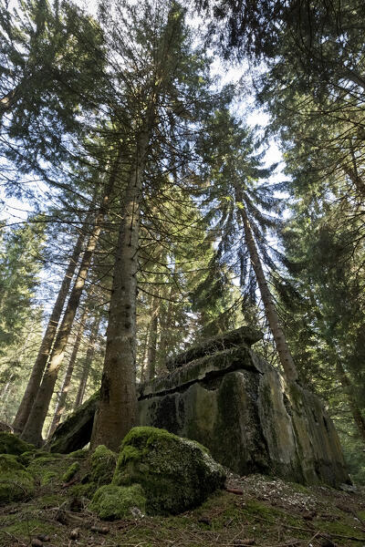 Remains of the Austro-Hungarian bunkers of the Great War in the woods of the High Coast. Luserna, Alpe Cimbra, Trentino, Italy.