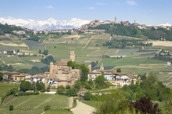 Vineyards in Langhe with Castiglione Falletto on the foreground, La Morra on the middleground and Alps Chain on the background,Serralunga D'Alba,Piedmont, Italy