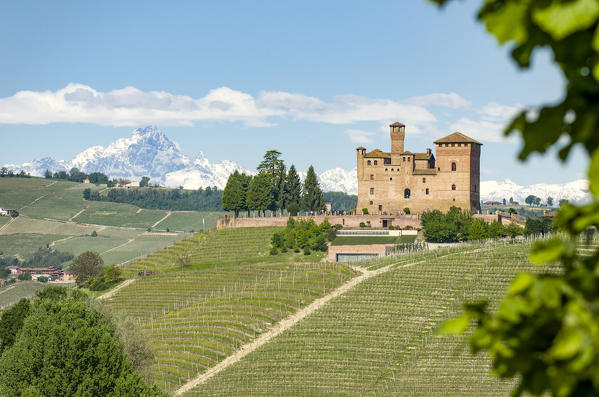 Vineyards in Langhe with Monviso on the background and the Grinzane Cavour castle on the foreground ,Grinzane Cavour,Piedmont, Italy