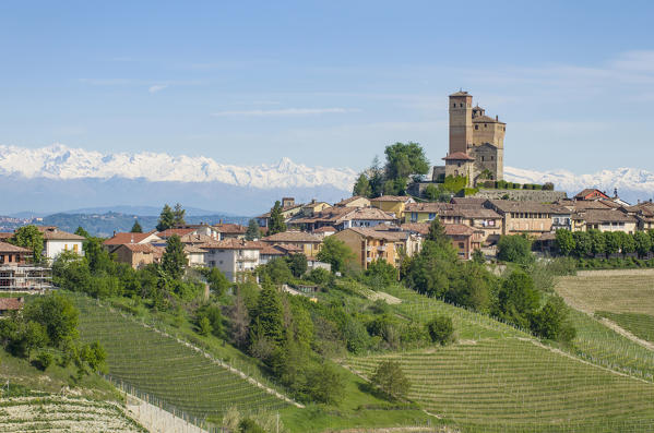 Vineyards in Langhe with Serralunga D'Alba with his castle on the foreground and Alps Chain on the background,Serralunga D'Alba,Piedmont, Italy