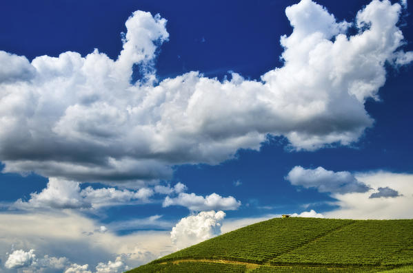 Fontanafredda Vineyards in Langhe during a cloudy day,Alba,Piedmont, Italy