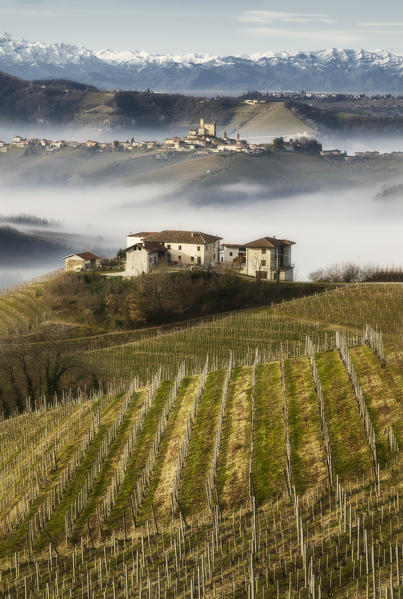 Vineyards in Langhe with a farmhouse on the foreground, Serralunga D'Alba on the middleground and Alps Chain on the background during a foggy day,Montelupo Albese,Piedmont, Italy