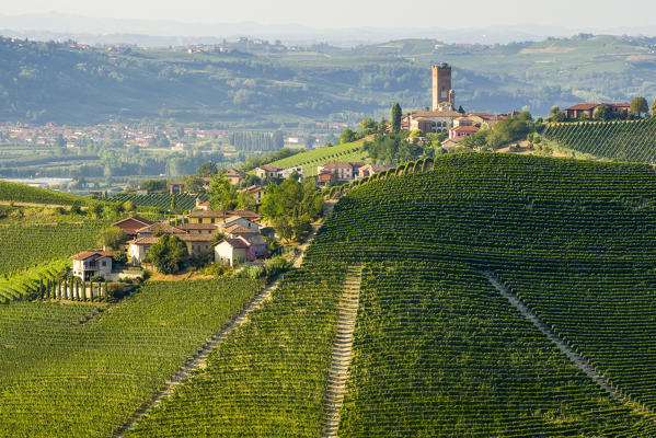 Classic viewpoint on Barbaresco in Langhe, Barbaresco, Piedmont, Italy