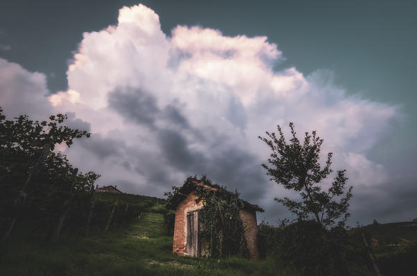 Thunderstorm coming behind a small cottage in the middle of the vineyards, Barolo, Piedmont, Italy