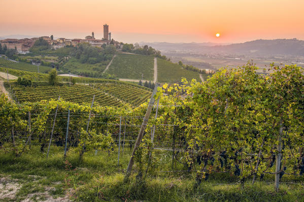 Sunset in Langhe, Barbaresco, Piedmont, Italy