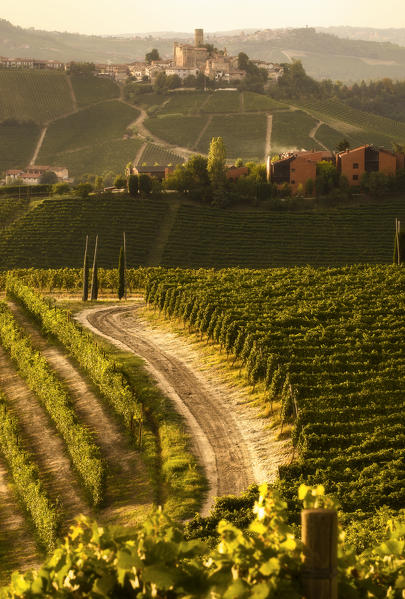 Viewpoint of a Castle on the hill following a dirt path, Castiglione Falletto, Piedmont, Italy