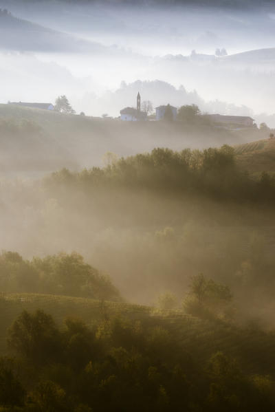 Misty morning between Barolo and Novello in Langhe, Piedmont, Italy