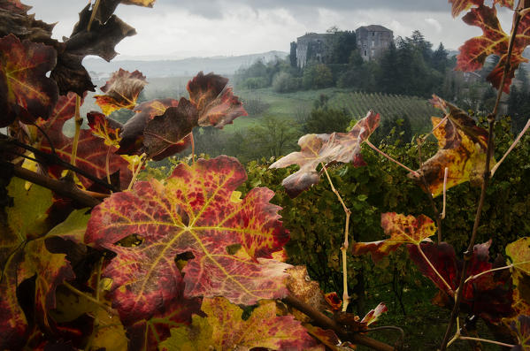 Burio's Castle in Boglietto with foliage, Monferrato, Costigliole d'Asti, Piedmont, Italy