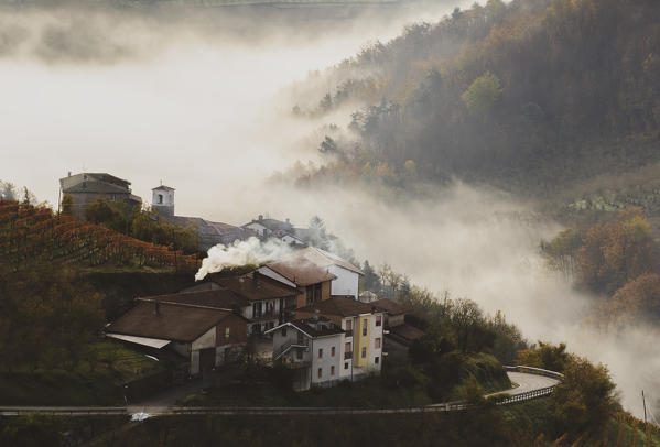 Mist in Alta Langa, Borgomale, Piedmont, Italy