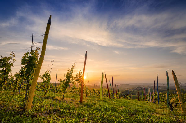 Sunset on the village of Coazzolo from the colorful pastels vineyard 