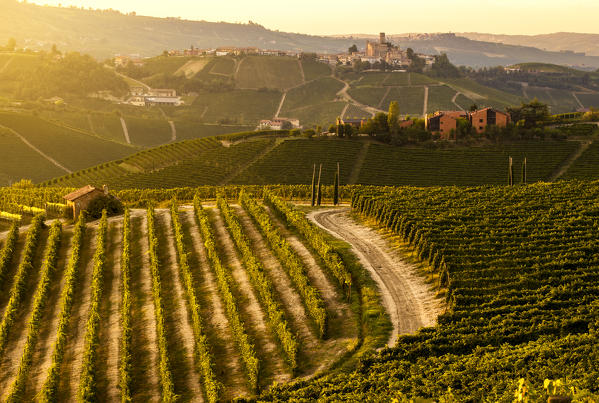 Viewpoint of a Castle on the hill following a dirt path, Castiglione Falletto, Piedmont, Italy