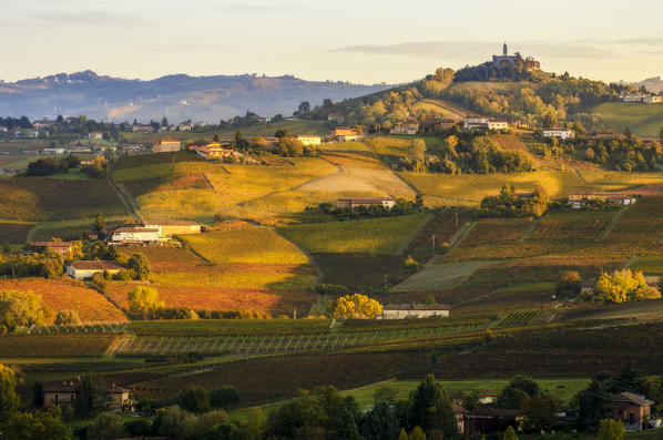 Sunset and foliage vineyards, Calosso, Piedmont, Italy