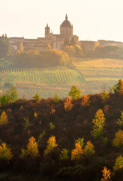 Monferrato hills with foliage and view of Fontanile, Fontanile, Piedmont, Italy