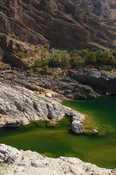 Wadi Al Arbeieen, Oman.