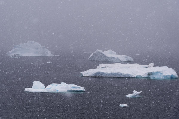 Snowstorm over icebergs in Portal Point, Antarctica.