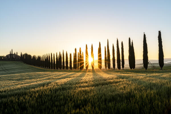 Europe, Italy, Tuscany, Val d'orcia: the Sun rises over the Poggio Covili farm