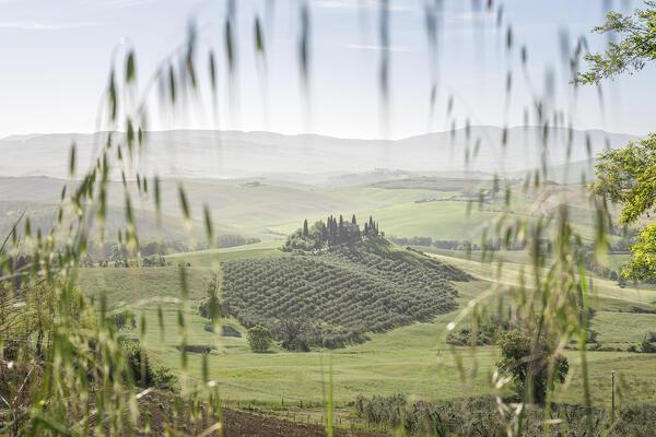 Europe, Italy, Tuscany, Val d'Orcia: Podere Belvedere at morning from a non classical spot view