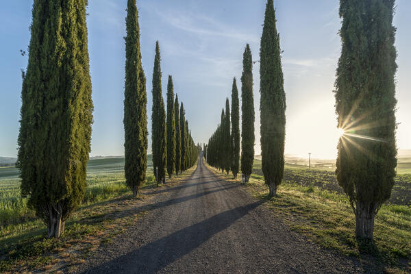 Europe, Italy, Tuscany, Val d'Orcia: sunburnst at morning at Poggio Covili