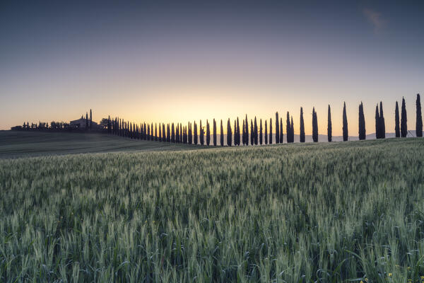 Europe, Italy, Tuscany, Val d'Orcia: the first lights on Poggio Covili