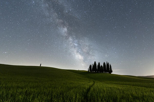 Europe, Italy, Tuscany, Val d'Orcia: San Quirico's cypresses and the path to the Milky Way