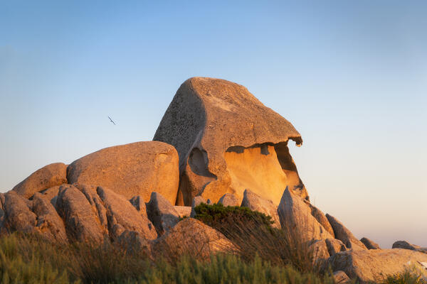 Sunset on the Octopus Head Beach in La Maddalena, La Maddalena island, Sassari province, Sardinia, Italy, Europe.